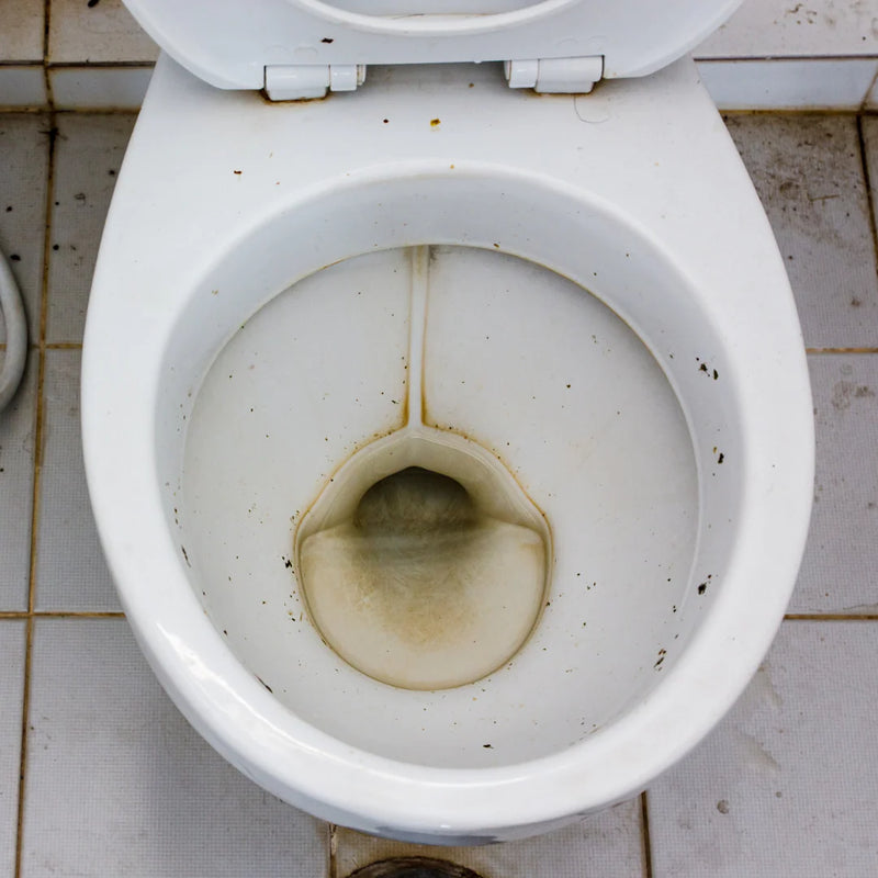 Why do rings form on toilet bowls?